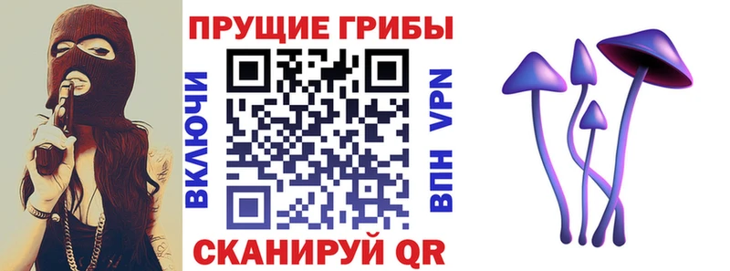 Псилоцибиновые грибы Magic Shrooms  Ершов 